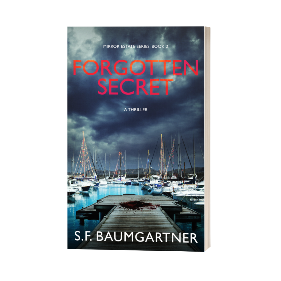 Forgotten Secret: Book 2 (Paperback)