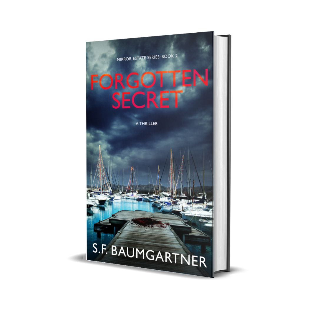 Forgotten Secret: Book 2 (Hardcover)