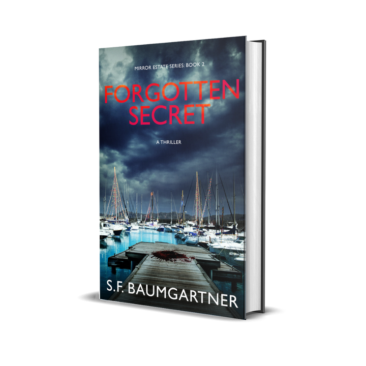 Forgotten Secret: Book 2 (Hardcover)