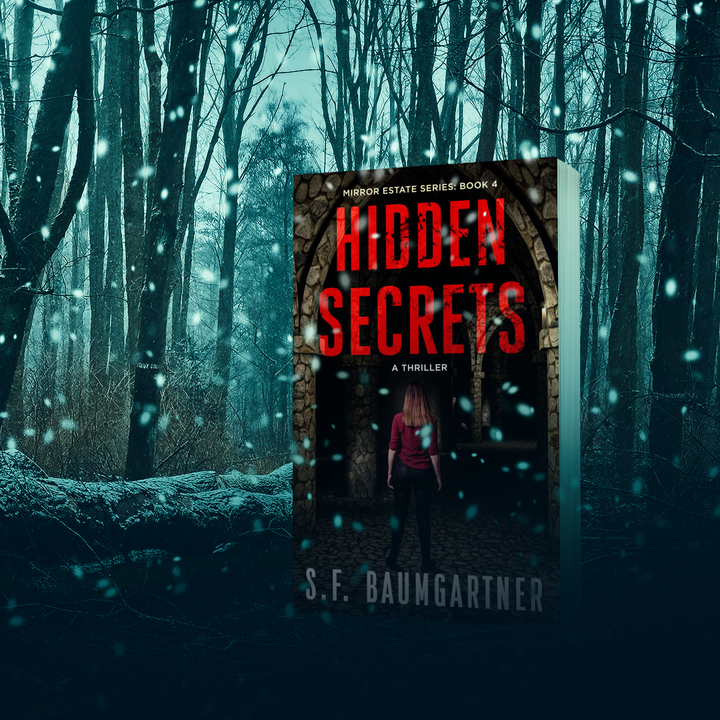 Hidden Secrets: Book 4 (Paperback)