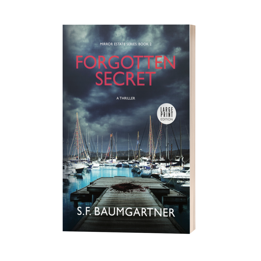 Forgotten Secret: Book 2 (Large Print)