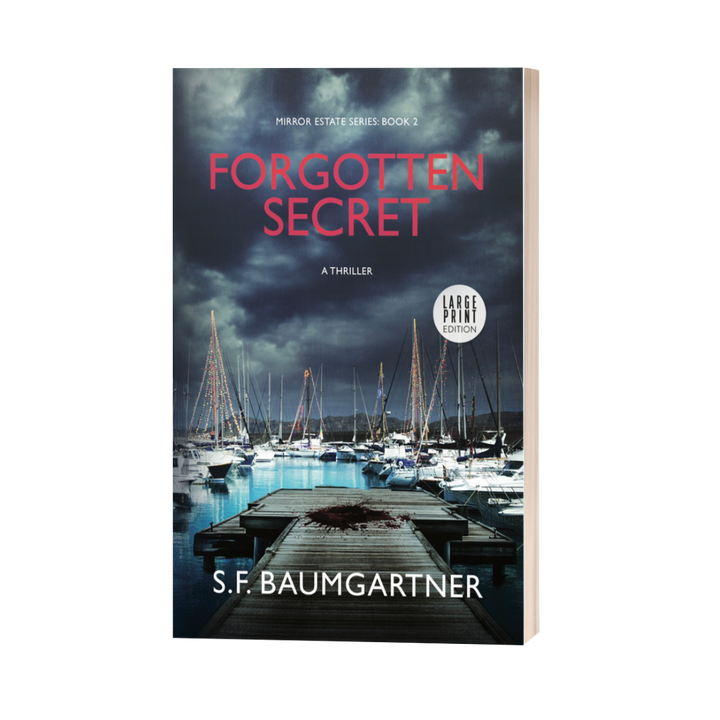 Forgotten Secret: Book 2 (Large Print)